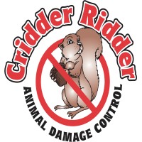 Cridder Ridder logo