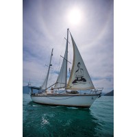 SV Delos Sailing YouTube Channel logo