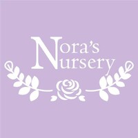 Nora's Nursery logo