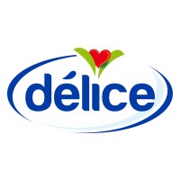 Délice Holding logo
