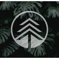 The Higher Path Collective logo