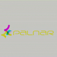 Palnar Inc logo