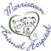 Morristown Animal Hospital logo