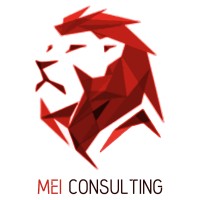 MEI Consulting Phoenix logo