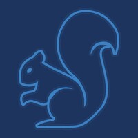 Dancing Squirrel - The Creative Collective logo