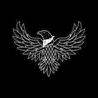 Where Eagles Dare Co. logo