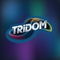 Tridom India logo