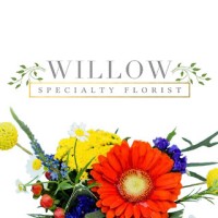 Willow Specialty Florist logo