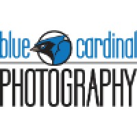 Blue Cardinal Photography logo