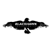 Blackhawk Technology Consulting LLC logo