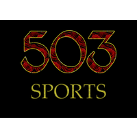 503 Sports logo