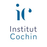 Institut Cochin logo