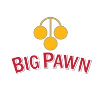 BIG PAWN, INC logo