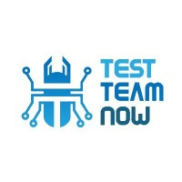 Test Team NOW logo