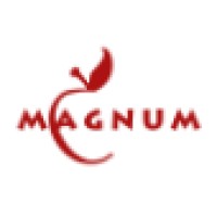 Magnum Realty Holdings LLC logo