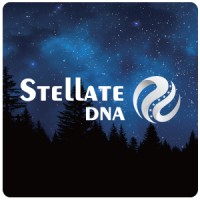 Stellate DNA logo