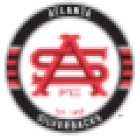 Atlanta Silverbacks logo