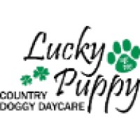Lucky Puppy logo
