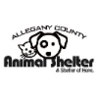 Allegany County Animal Shelter Management Foundation logo