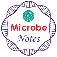 Microbe Notes logo