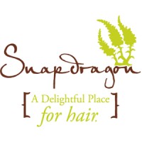 Snapdragon Salon logo