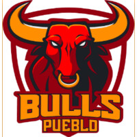 Pueblo Bulls Hockey Club logo