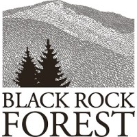 Black Rock Forest logo