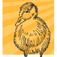 Odd Duck LLC logo