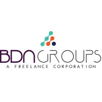 BDN GROUPS logo