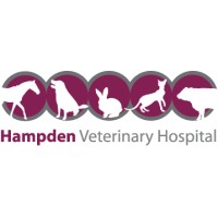 Image of Hampden Veterinary Hospital