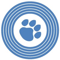 Disco Paws logo