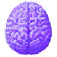 Image of Whole-Brain Ltd