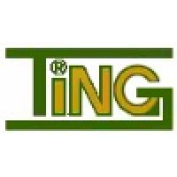 TING INC logo