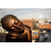 Image of Brooklyn Acupuncture Project