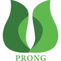 PRONG logo