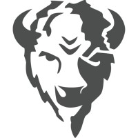 Bison Technologies logo