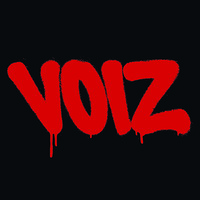 VOIZ logo