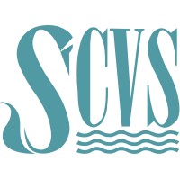 Swansea Council For Voluntary Service (SwanseaCVS) logo