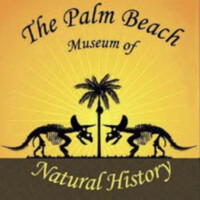 The Palm Beach Museum Of Natural History logo