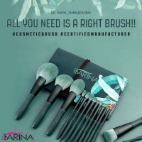 Shenzhen Karina Makeup Tools Ltd logo