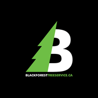 Black Forest Tree Service Ltd logo