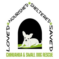 Chihuahua & Small Dog Rescue logo