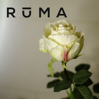 Ruma Salons logo