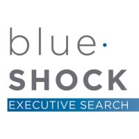 Blue Shock Executive Search logo
