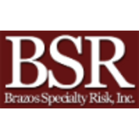 Brazos Specialty Risk logo