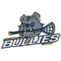 Jacksonville Bullies Pro Lacrosse Team logo