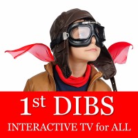 1st DIBS logo