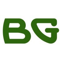 The BG Service Co., Inc. logo