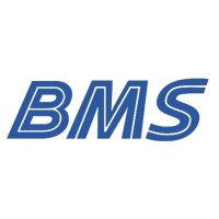 BMS | Grupo BLG e Mosolf logo