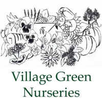 Village Green Nurseries logo